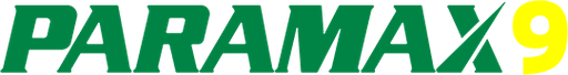 Paramax9 Casino Logo